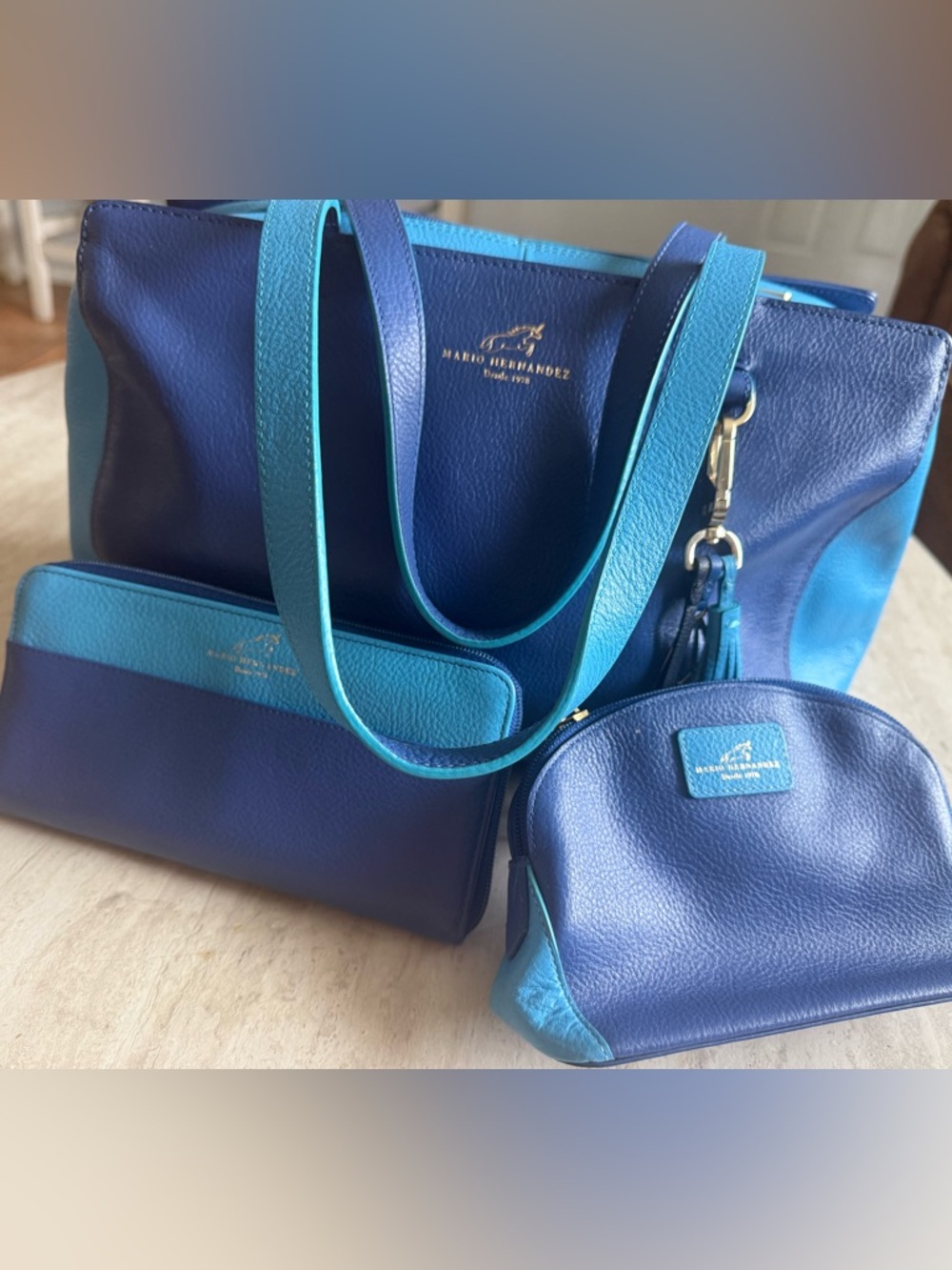 Mario Hernandez Two-Tone Blue Leather Tote with Matching Pouch Set